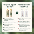 Organic Jaguar Natural Shampoo for Hair Care, Sulfate Free Shampoo with Castor Oil, Honey, Biotin, Glycerin, Aloe Vera & Mild Thickening Agent, Unscented, Dry to Color Treated to All Hair, 13.5 fl oz