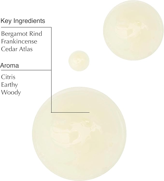 Aesop Geranium Leaf Body Cleanser and Shampoo | Paraben, Cruelty-free & Vegan | 16.9 oz