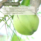 Fractionated Coconut Oil - Sourced Directly from our Farm Partner in the Philippines - Carrier Oil for Diluting Essential Oils, Body, Hair, and Skin Moisturizer - (32oz)