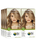 Naturtint 8G Sandy Golden Blonde Permanent Hair Color (Pack of 6), Ammonia Free, Vegan, Cruelty Free, up to 100% Gray Coverage, Long Lasting Results (Packaging may vary)
