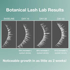 Contours Rx Botanical Lash & Brow Enhancing Serum – Organic, Drug-Free Growth Formula with Peptides & Botanicals – Strengthens, Hydrates & Nourishes – 5ml