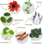 Soothe Gums & Freshen Breath Naturally | Herbal Oral Rinse with Essential Oils | Alcohol-Free, Fluoride-Free Mouthwash | Plant-Based Oral Care | Tooth & Gums Tonic by Dental Herb Company