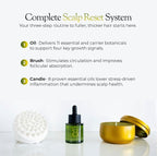 regener8 3-in-1 Hormonal Hair Loss & Thinning Treatment - Scalp Reset System With Multi-Signal Hair Growth Oil, Scalp Massage Brush & Cortisol-Reducing Candle - Complete Hair Revival Bundle for Women