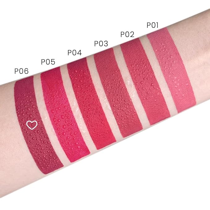 evpct 1Pcs Plum Purple Pink Lipstick, Silky Velvet Matte Lipstick Pack Sets for Women, Long Lasting Smudge Proof Lipstick Lip Stain Makeup Kit matte lipstick 24 hours original P06