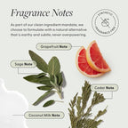 Arey Smooth Conditioner | Reduce the Signs of Aging Hair | Retains Moisture, Promotes Smoothness | For Use with Wash Shampoo | Vegan, Gluten-Free, Residue-Free & Cruelty-Free (8.45 Fl Oz, 30 Uses)