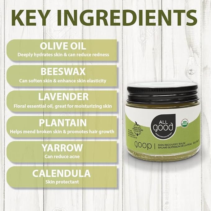 All Good Goop Organic Skin Care Recovery Balm - All Purpose Ointment w/Calendula, Lavender, Beeswax - Chafing Cream, Dry Skin Salve, Cracking Lip Moisturizer - Soothes, Hydrates & Calms - 2oz, 2-pack