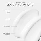 SEEN Leave-In Conditioner, Fragrance Free - Leave-In Hair Conditioner & Heat Protectant Spray- Detangles & Hydrates- No Parabens, Sulfates or Phthalate