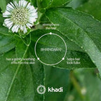 khadi VitalityGrow Hair Oil - Rosemary for more volume & hair growth - against hair loss - 100% natural, herbal, vegan & silicone-free - 1.69 fl oz