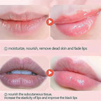 2 PCS Bee Lip Balm Honey Gifts