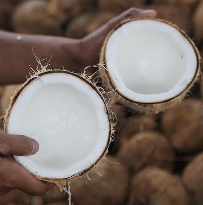 Fractionated Coconut Oil - Sourced Directly from our Farm Partner in the Philippines - Carrier Oil for Diluting Essential Oils, Body, Hair, and Skin Moisturizer - (1Gallon)