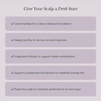 NULASTIN Vibrant Scalp Scrub - Exfoliating Dry Scalp Treatment, Moisturizer & Cleanser to Lift Buildup - Detoxifying Pre-Shampoo for Elastin Replenishment, Vegan & Color Safe, Minty Fresh (6.7 Fl. Oz)