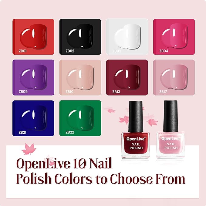 12 PCS Nail Polish Kit With 10 Colors As 2 PCS BASE And TOP Coat Green Blue Red Pink Collection Gifts for Women.