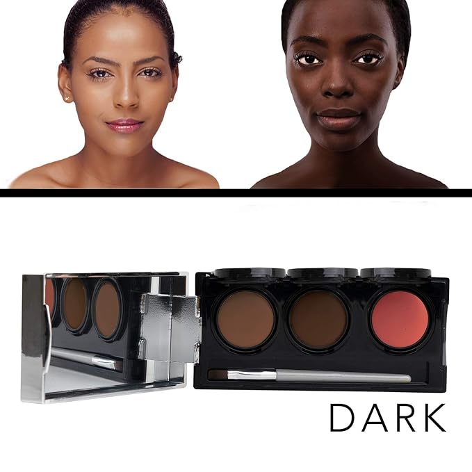 Dermaflage Tattoo Cover Up Makeup (Dark) - Bruise Full Coverage Concealer - Full Coverage Waterproof Concealer for Bruise, Scars & Acne - Smudge Proof Body Makeup Palette with 3 Pro SFX Shades + Brush