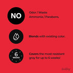 Professional Root Touch Up Hair Coloring Kit, Dark Brown, 4 applications