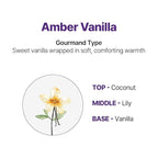 KUNDAL Korean Shampoo and Conditioner Set [Amber Vanilla] Salon-quality, Long Lasting Scent, Moisturizing, Sulfate-Free, Argan & Macadamia Oil, Korean Hair care,16.9 fl oz each, Stocking Stuffers