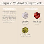 Annmarie Skin Care Sun Love SPF 20 Sunscreen - Reef Safe. - Non-Nano Zinc Oxide Sunscreen with Moisturizing Organic Pumpkin, Sunflower, Hemp Seed Oils, Lightweight & Sheer Sunscreen (50mL, 1.7 fl oz)