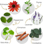 Tooth & Gums Tonic Herbal Oral Rinse with Essential Oils | Alcohol-Free, Fluoride-Free Mouthwash | Plant-Based Oral Care | Soothe Gums & Freshen Breath Naturally | by Dental Herb Company | (2) 18 oz.