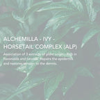 Lierac Phytolastil Stretch Mark Removal Serum - Firms Skin, Fades Cellulite, Diminishes Stretch Marks on Breasts, Abdomen, Hips and Thighs - Hydrating & Firming for All Skin Types - 75ml