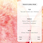 Korean Body Wash with Hyaluronic Acid & Aloe – Hydrating Moisturizing Cleanser for All Skin – Infused with Natural Extracts – Paraben & Silicone-Free – Peach Floral Musk, 500ml / 16.9 fl oz