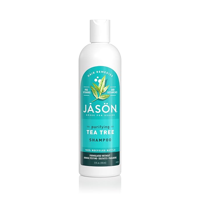 Jason Tea Tree Shampoo 12 oz