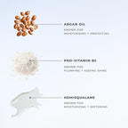 XMONDO Hair Wavetech NEXGEN Conditioning Mist | Vegan Formula with Waveflex Technology for Enhanced Waves, Olive Extract and Hemisqualane to Retain Natural Shine & Strand Moisture, 6.7 Fl Oz