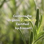 RATED GREEN Real Mary Purifying Scalp Scaler | Organic Cold Brewed Sea Salt | Deep Cleanse for Itchy & Flaky Scalp | Korean Hair Care | 6.76 fl oz