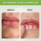 RaGaNaturals Natural Unscented Lip Balm - Original Beeswax, Shea Butter, Jojoba Oil, Vitamin E - 4 Pack Unflavored Chapstick for Dry & Cracked Lips - Christmas Stocking Stuffers - Handmade in USA