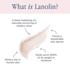 Lanolips 12 Hour Overnight Lip Mask - Rich Lanolin Lip Balm with Hyaluronic Acid, Vitamin C & Ceramides - Restore, Soften & Replenish While You Sleep - Cruelty-Free Hydrating Balm (0.52 oz / 15 g)