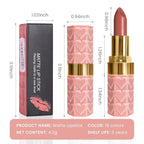 evpct 1Pcs Nude Beige Lipstick, Silky Velvet Matte Lipstick Pack Sets for Women, Long Lasting Smudge Proof Lipstick Lip Stain Makeup Kit matte lipstick 24 hours original N01