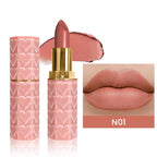 evpct 1Pcs Nude Beige Lipstick, Silky Velvet Matte Lipstick Pack Sets for Women, Long Lasting Smudge Proof Lipstick Lip Stain Makeup Kit matte lipstick 24 hours original N01