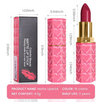 evpct 1Pcs Plum Purple Pink Lipstick, Silky Velvet Matte Lipstick Pack Sets for Women, Long Lasting Smudge Proof Lipstick Lip Stain Makeup Kit matte lipstick 24 hours original P06