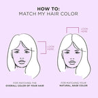 EVERPRO Gray Away Root Touchup Quick Stick, Black, 0.1 Oz