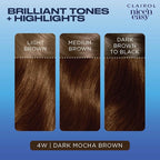 Clairol Nice'n Easy Permanent Hair Dye, 4W Dark Mocha Brown Hair Color, Pack of 3