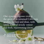 RŌZ Root Lift Spray | Instant Volume Boost| Buildable, Non-Sticky, Lightweight Hold | Infused with Mushroom Root, Rice Protein & Radish Root | Silicone-Free | 8 fl oz