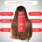 MK PROFESSIONAL Argan Oil Repair Shampoo for Dry Damaged Hair, Sulphate Free Keratin Hair Treatment, Moroccan Shampoo for Women & Men, Hydrating and Nourishing (All Hair Types) - 10.1 Fl Oz / 300 ml