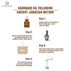 CARAWAY Jamaican Black Castor Oil for Hair Growth, Eyelashes & Eyebrows | Organic, Cold-Pressed & Unrefined | Deep Moisturizing Oil for Skin, Face & Scalp | Glass Bottle + Mascara Kit – 4 oz / 118 ml