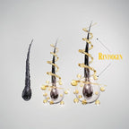 Revivogen MD Thickening Conditioner, Conditioner for Thinning Hair, Hair Loss Conditioner, Thickening Conditioner Men/Women, Conditioner for Hair Loss, 12 Fl oz