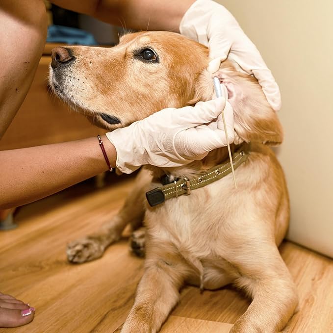 200 PCS Dog Ear Cleaning Kit; 6-Inch Large Cotton Swabs for Gentle & Effective Cleaning. Safe and Hygienic Pet Ear Cleaning Solution