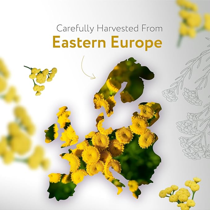 HBNO Helichrysum Oil - Huge 4 oz (120ml) Value Size - Ideal for Perfumes, Home Fragrances, Reed Diffusers, Lotions, Car Fresheners and Skin Care Products.