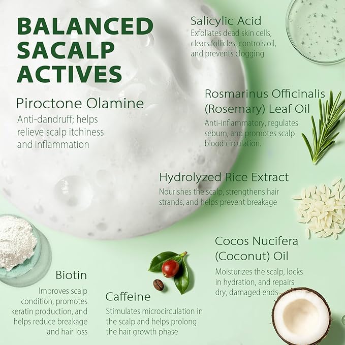 Antifungal Shampoo for Folliculitis and Seborrheic Dermatitis: Scalp Psoriasis Treatment, Dandruff & Itchy Scalp Relief with Salicylic Acid, Piroctone Olamine, Rosemary & Coconut Oil 8.8 fl.oz