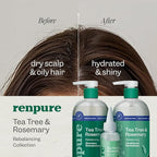 Renpure Tea Tree & Rosemary Shampoo and Conditioner Set, Plant Based - Refreshes & Rebalances Hair and Scalp - For Oily/Normal Hair - Tea Tree Leaf Oil, Rosemary Leaf Extract - 24 Fl Oz each, 2 Pack