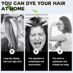 IIIMEIDU Hair Dye Shampoo 3 in 1 for Gray Hair, Herbal Ingredients Shampoo Hair Dye for Women Men, Grey Coverage 500ml 1