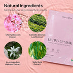 SUN & GLOW VEGAN LIFTING UP MASK Featuring a blend of Herbal Ingredients and Components Soothing and Moisturizing Sensitive Skin Korean Skincare Home Care Skincare Mask (0.88oz 25g 5Packs)