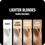 BOLDIFY Hairline Powder Color Sample Kit - Root Touch Up Hair Color for Gray Coverage - Bald Spot Concealing Hair Powder for Women & Men - 24-Hour Stain-Proof - Lighter Blondes