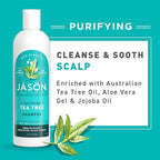 Jason Tea Tree Shampoo 12 oz