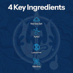 2 Pack H2Ocean Healing Rinse Mouthwash- Great Tasting Sea Salt & Xylitol Mouth Wash for Fresh Breath & Dry Mouth & Tonsil Stones - Alcohol & Fluoride Free - Arctic Ocean Mint, 16oz