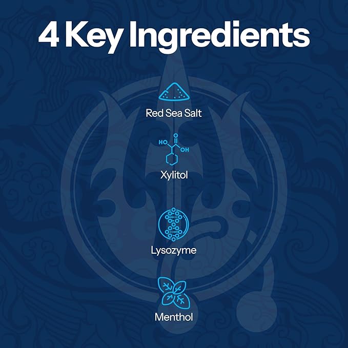 2 Pack H2Ocean Healing Rinse Mouthwash- Great Tasting Sea Salt & Xylitol Mouth Wash for Fresh Breath & Dry Mouth & Tonsil Stones - Alcohol & Fluoride Free - Arctic Ocean Mint, 16oz