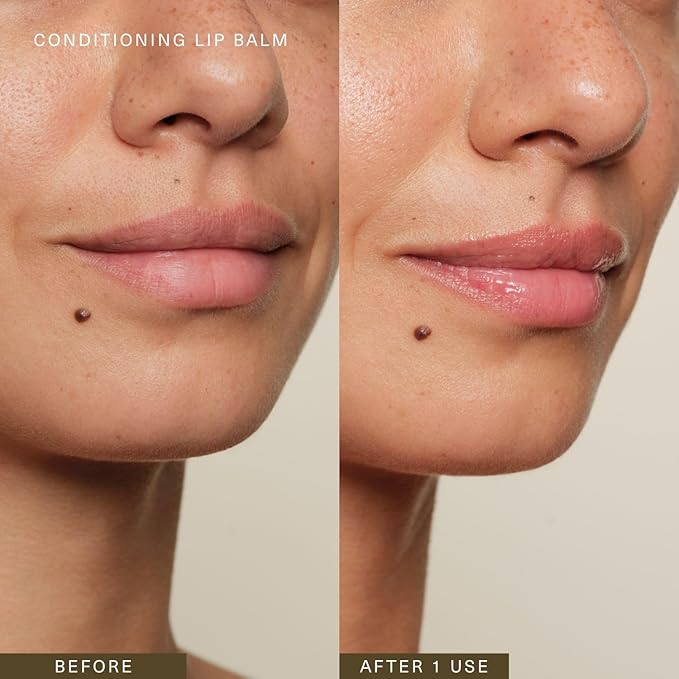 Oak Essentials Conditioning Lip Balm | Nourishing Antioxidant Lip Care with Shea Butter & Botanical Oils | Clean Moisturizing Balm for Dry, Chapped Lips, 3.6g