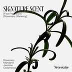 Nécessaire Rosemary Conditioner With Pump | Multi-Protien Strengthening Conditioner For Thinning Hair. For Women + Men. Good For All Hair Types/Textures. Color-Safe. 500 ml / 16.9 oz