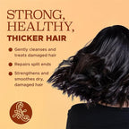 Luseta Hair Growth Shampoo with Turmeric & Collagen, Thickening Volumizing Shampoo for Women and Men with Thinning or Oily Hair, Color Safe, Sulfate and Paraben Free, 16.9 Oz